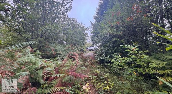 Sapanca'da Bungalov Ve Turizm Yatırımına Uygun Satılık Arazi