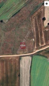 Tekirdağ Saray Büyükyoncalı Da 300m2 Satılık İmarlı İfrazlı Arsa