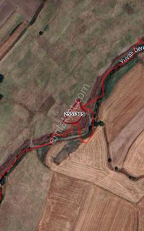 Tekirdağ Saray Beyazköyde Satılık 1521m2 Tek Tapu Tarla