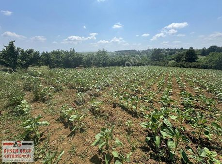 İmamlarda Yatırıma Uygun 1.330 M2 Satılık Havadar Konum Tarla