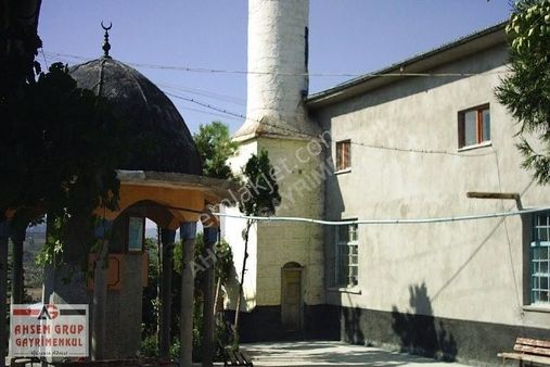 Bozkır Köyünde Yol Cepheli 800 M2 Satılık Erik Ve Elma Bahçesi