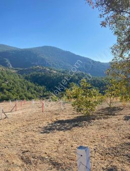 Kemalpaşa Damlacık Köşe Parsel Kooperatif Hisse,yatırım Fırsatı!