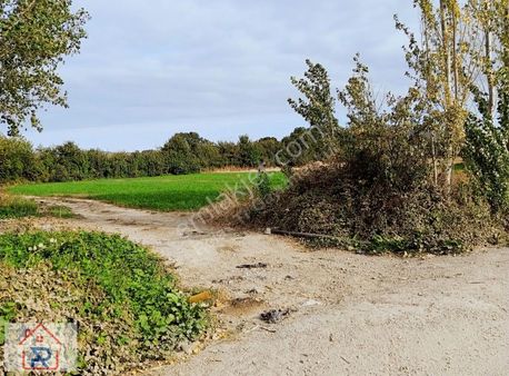 Relax Tr'den Kiralık Tarla