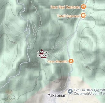 Doğa Dostu'ndan Bayındır Yakapınar 19 Dönüm Zeytinlik