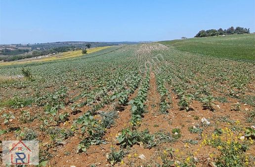 Relax Tr Gayrimenkul Bursa Yenişehir Kara Amca Satılık Tarla