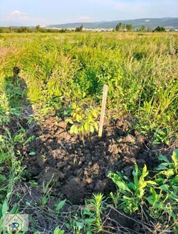 Relax Tr'den Karacaoba'da Fırsat Fiyatlı Arazi