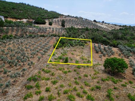 Mert Gayrimenkul'den Karapınar Mahallesi'nde Yatırımlık Tarla