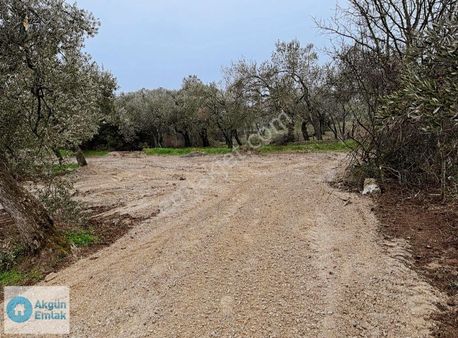 Havaalanı Yakını Fırsat Takasa Açık Tek Tapu Hobi Bahçesi