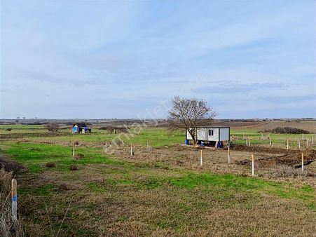 Karlı'da 500 Metre Direkleri Dikili Çapı Mevcut