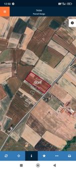 Kapaklı Karlı Mahallesi Satılık Tarla