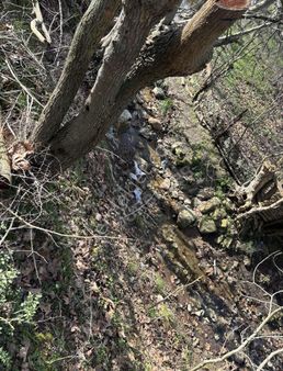 Manyasta Bu Fiyata Yok.arsa 7860 ..mt. Takas Mantıklı Olur.