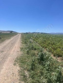 10650 Mt Arazi. Yola Cephe.suyu Var.yerleşime Yakın.