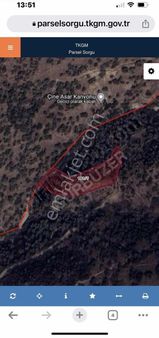 2347 Mt.zeytinlik .çine Merkeze Yakın.tek Tapu.45 Ağacı Var.