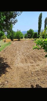 205 Mt Arazi. Kadastro Yolu Var. Hobi Bahçesine Uygun. Tek Tapu.