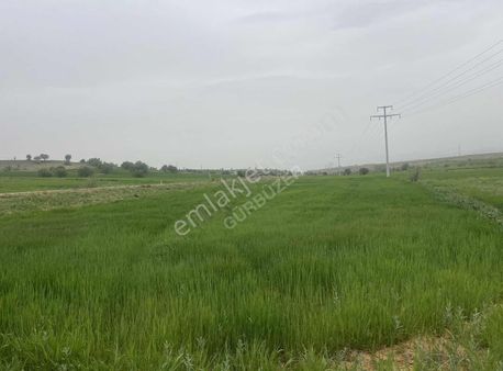 Beyşehir Hüyük Anayoluna Cephe 576 Metre Arazi.tam Yatırımlık