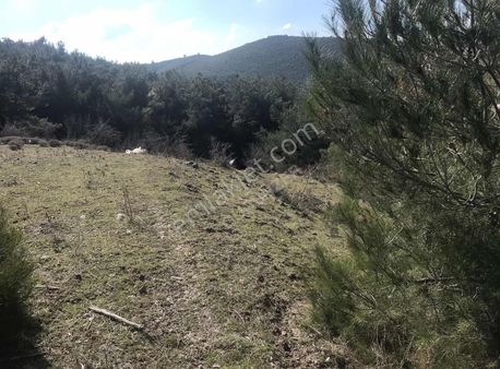 Köy Yerleşimine Yakın Tarla 3928 Metre ..