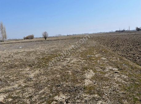 3000 Mt Arazi.anayola Cepheli.köye Yakın.tek Tapu.