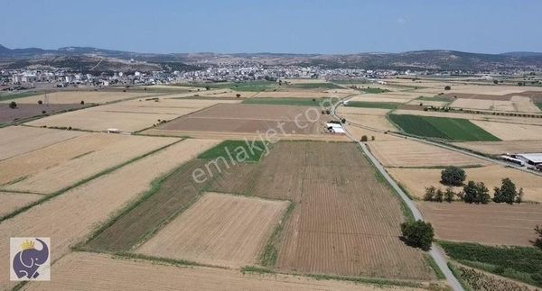 Çanakkale Ezine'de Yatırımlık İmara Yakın Geniş Tarla!!!