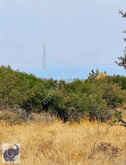 Çanakkale Lapseki Yenice Satılık Boğaz Manzaralı Şeftali Bahçesi