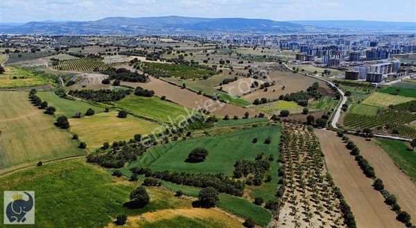 Çanakkale Karacaören Sarı Alanda Deniz Manzaralı Hisseli Tarla