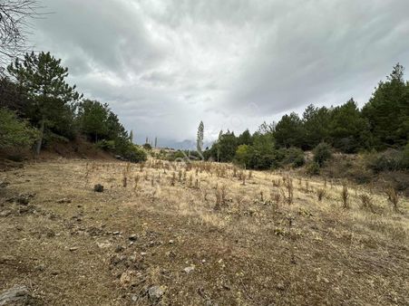 Cankurtaran'da 2950m2doğa İçinde Yatırımlık Fırsat Satılıktarla