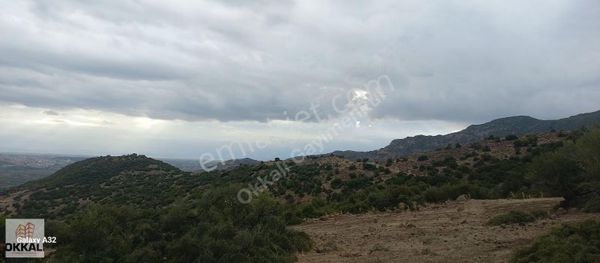Okkalı Emlak Tan Menemen Hasanlar Da Satılık Arazi