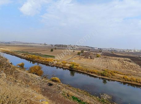 Sur Bağıvar'da Tarla Satışı