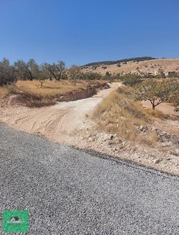 Kocatepe De 3.531 Metrekare Mahsüllü Arazi Satılık