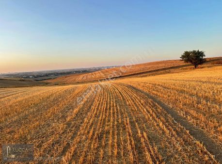 Tekirdağ Marmaraereğlisi Çeşmeli Mah Satılık 11.695,84 M2 Tarla