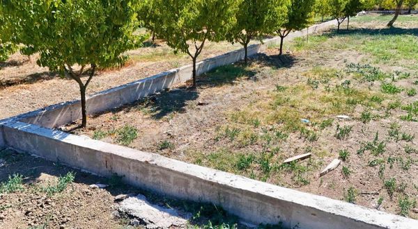 Osmangazi Çeltik'te Satılık Arazi