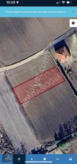 Kırklareli Babaeski Büyükmandıra Da 1098 Metre² Tek Tapu Arsa