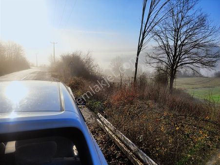 Asfalt Yola Cephe Çevreye Hakim Harika Arazi Yaz Kış Başına Gide