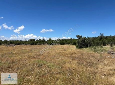 Atbiner Emlaktan Karakılınçlı Mah. 7406m2 Su Elektrik Dibi Tarla