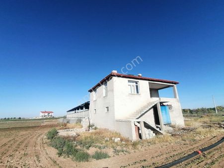 Cumra Alibeyhüyüğün De Satılık Ciflik