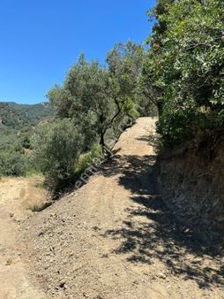 📍 Çanakkale / Ayvacık / Ahmetçe Köyü – Ören Mevkii
