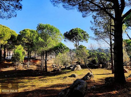 Kozak Emlak Bergama Ayvatlar Bahçe Bağ Satılık