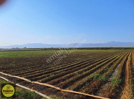 Turpa Taşdemir'den Kazanlı Köyü Mahallesi'nde Satılık Arsa