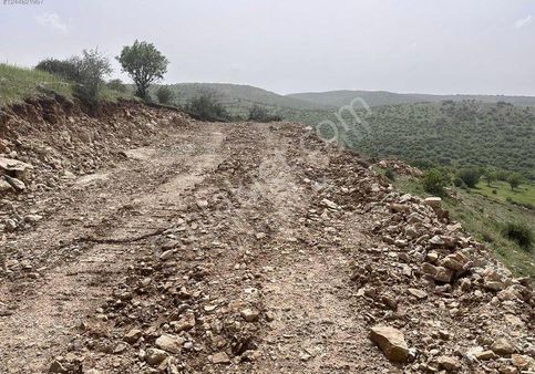 Satlık Bağ Bahçe Tam Yatırımlık 8.500 Mk