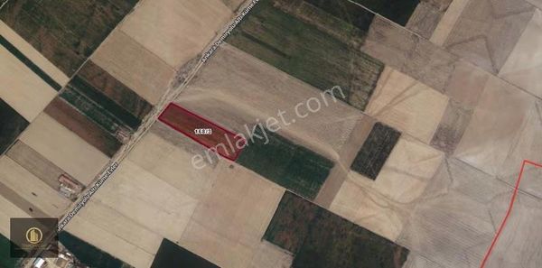 Merkeze Yakın Sulak Taban Tarla Daire Takasına Da Açık