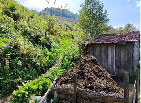 Ordu Ünye Yenikent Çamurlu 6410 M2+ahır Var 250 Metre Yol Cephe