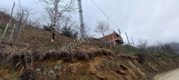 Giresun Dereli Yıldız 872 M2 Köy İçi Ev Yap Elektrik Yol Su Var
