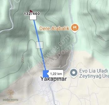 Doğa Dostu'ndan Bayındır Yakapınar 1612 M2 Zeytinlik