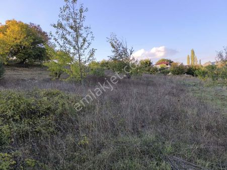 Geyve Akdoğanda İmarlı 619 M2 Arsa