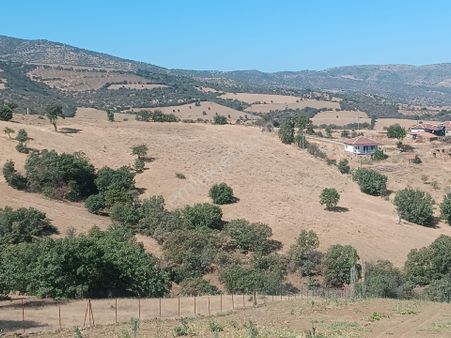 Uygun Fiyata Satılık Tarla