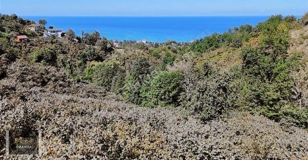 Mabel Gayrimenkul Sahile Yakın Yatırımlık Deniz Manzaralı Bahçe