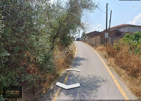 Bilecik Gölpazarı Tongurlarda Yerleşime Ve İlçe Merkezine Yakın