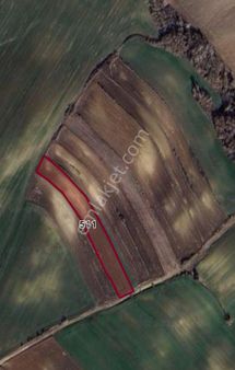 Husunluda Yola Cepheli Satılık Tarla