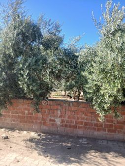 Uras Gayrimenkulden Satılık Köy İçi