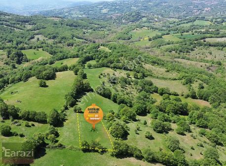 8 Tapu Tam 9827m²! Hepsi Müstakil Parsel Tek Fiyat