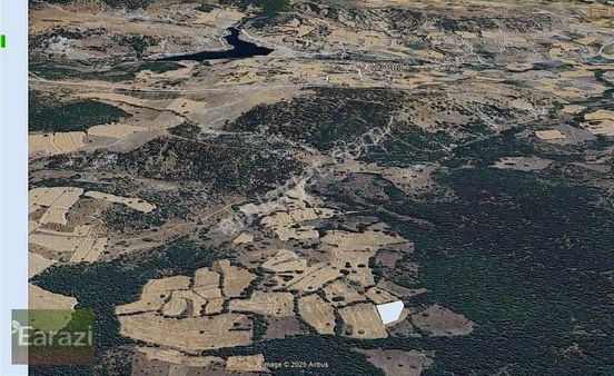 3 Adet Tapu Tam 2651m² Hepsi Müstakil Parsel Tek Fiyat!!